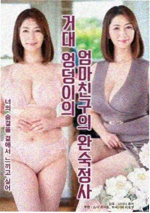迷雾之城 电视剧 2025